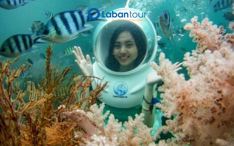 Tour Cù Lao Chàm 1 Ngày Và Đi Bộ Dưới Biển