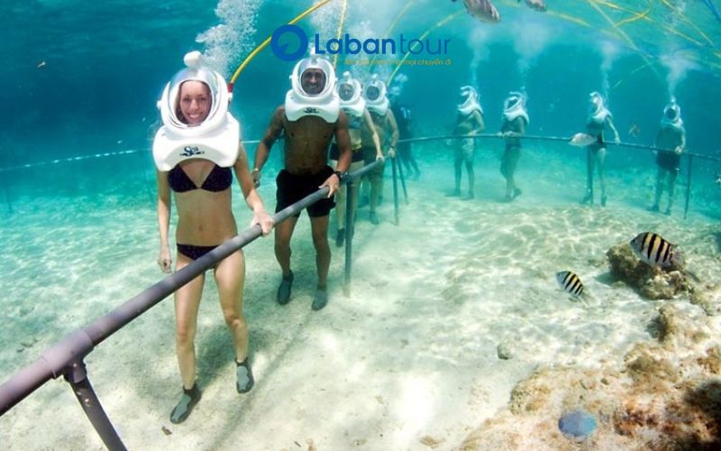 Tour Cù Lao Chàm 1 Ngày Và Đi Bộ Dưới Biển