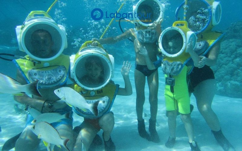 Tour Cù Lao Chàm 1 Ngày Và Đi Bộ Dưới Biển
