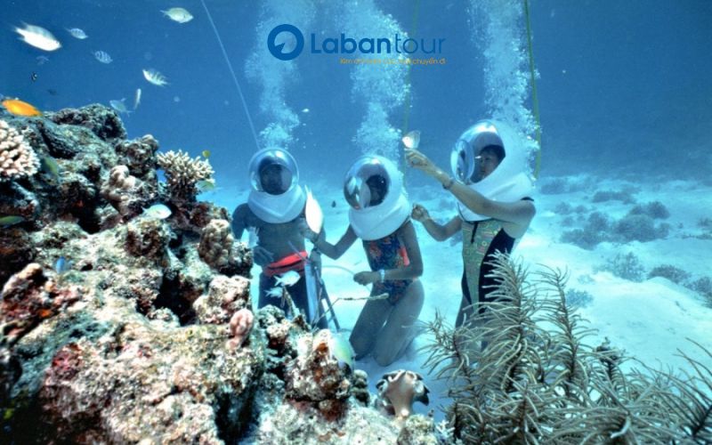 Tour Cù Lao Chàm 1 Ngày Và Đi Bộ Dưới Biển