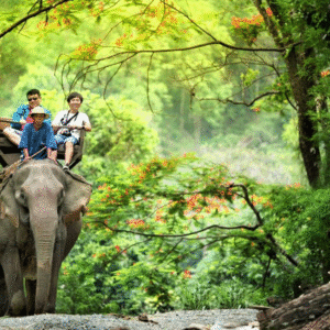 Tour tham quan ba thác Đà Lạt 1 ngày