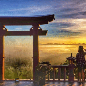 Tour Thung lũng Tình Yêu - Núi Langbiang - Check-in Đà Lạt 3N2Đ (khách sạn 2 sao)