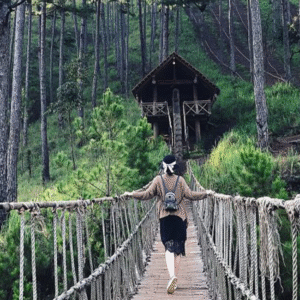 Tour du lịch ngoại thành Đà Lạt 1 ngày