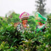 354_suoi_giang