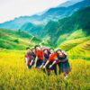 at_tour-du-lich-mu-cang-chai-3-ngay-2-dem_55fdf12161643134a5a7e51c9366c3ef
