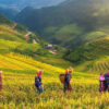 ha-giang-co-gi-nemtv-08
