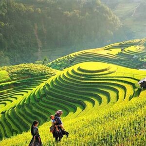 Tour Sapa - Lao Chải - Tả Van 1 ngày