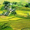 tả phìn