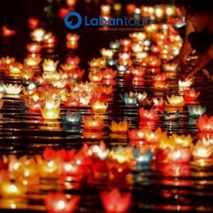 Tour Sơn Trà - Rừng Dừa 7 Mẫu - Hội An