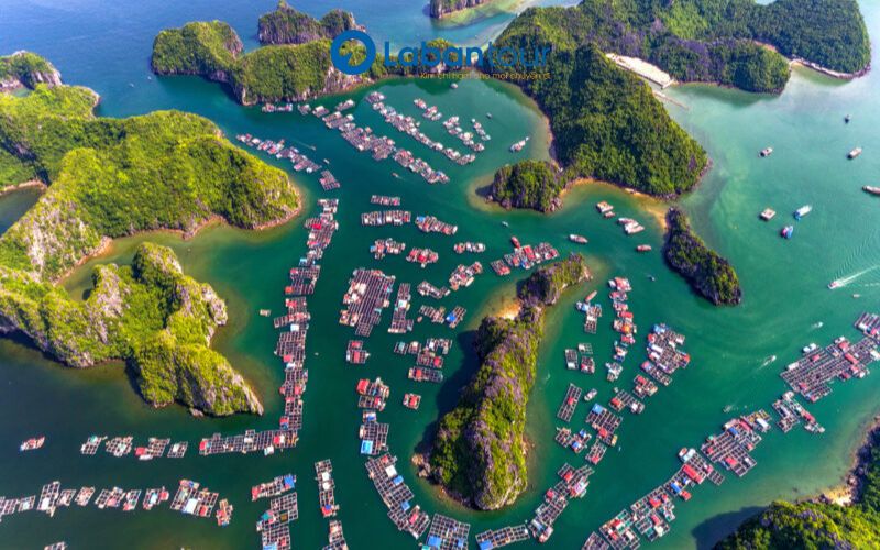 Sun World Cát Bà - Biểu Tượng Du Lịch Mới