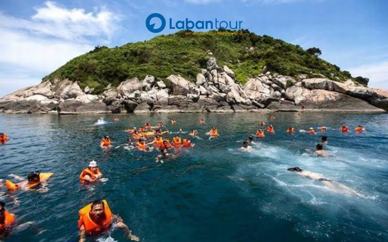 Các Địa Điểm Lặn Ngắm San Hô Sơn Trà Đẹp Nhất Tại Đà Nẵng
