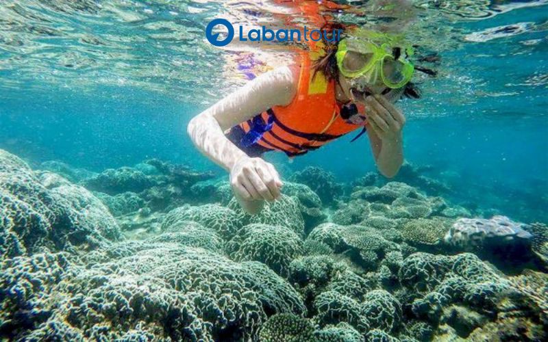 Kinh Nghiệm Cần Biết Khi Đi Lặn Ngắm San Hô Đà Nẵng