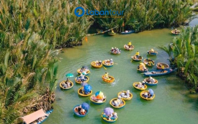 Rừng Dừa 7 Mẫu Ở Đâu? "Tọa Độ Xanh" Hội An