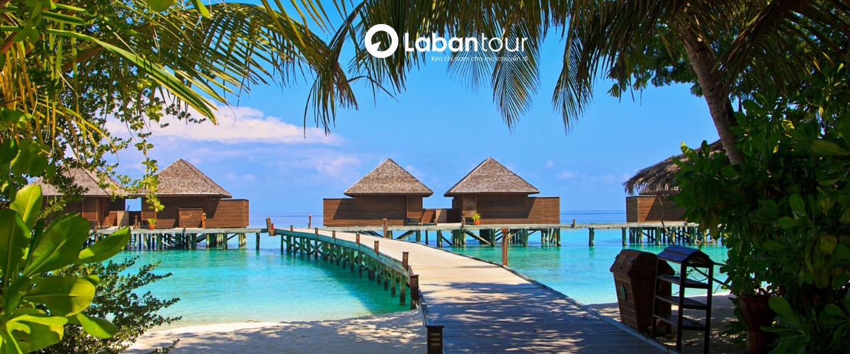 Hệ thống Khách sạn, resort, homestay… ở Đà Nẵng đẹp tiện nghi, nhiều mức giá 