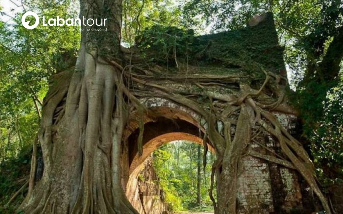 Cổng làng và Cây đa cổ thụ tại Làng cổ Phong Nam Đà Nẵng