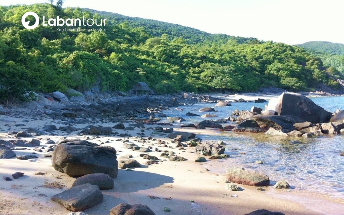 các địa điểm du lịch đà nẵng