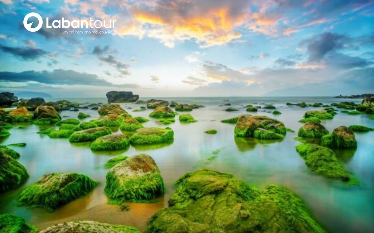 các địa điểm du lịch đà nẵng