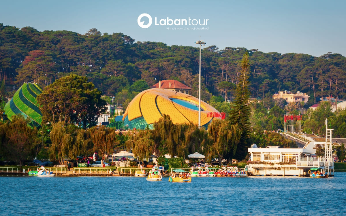 Tour Đà Lạt Đà Nẵng: Trọn gói từ A-Z về lịch trình, chi phí,...  