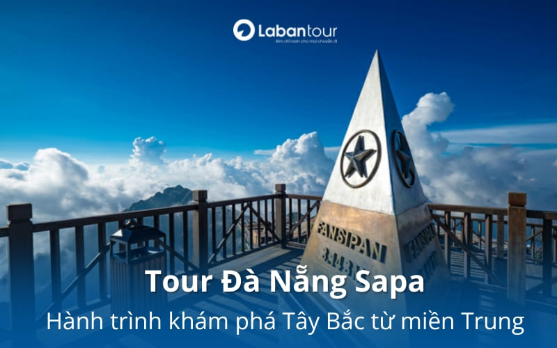 Tour Đà Nẵng Sapa: Hành trình khám phá trọn vẹn Tây Bắc từ miền Trung