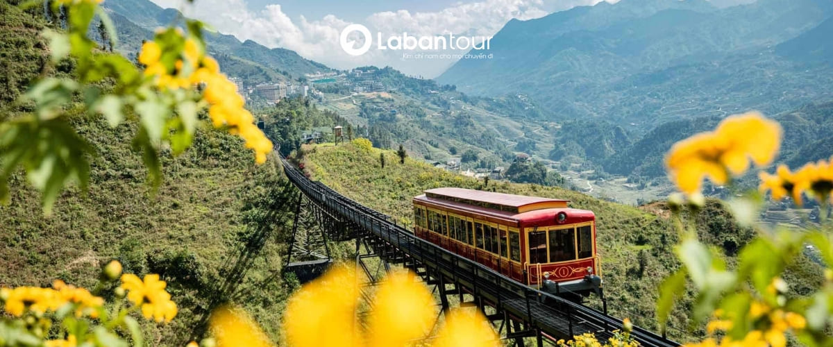 Đặt tour Đà Nẵng Sapa ở đâu uy tín?