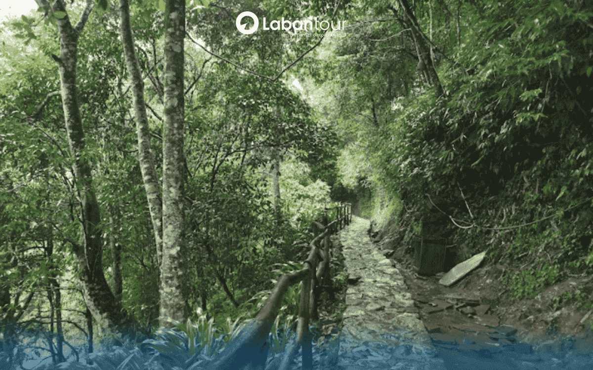 Bản cát cát Lào Cai