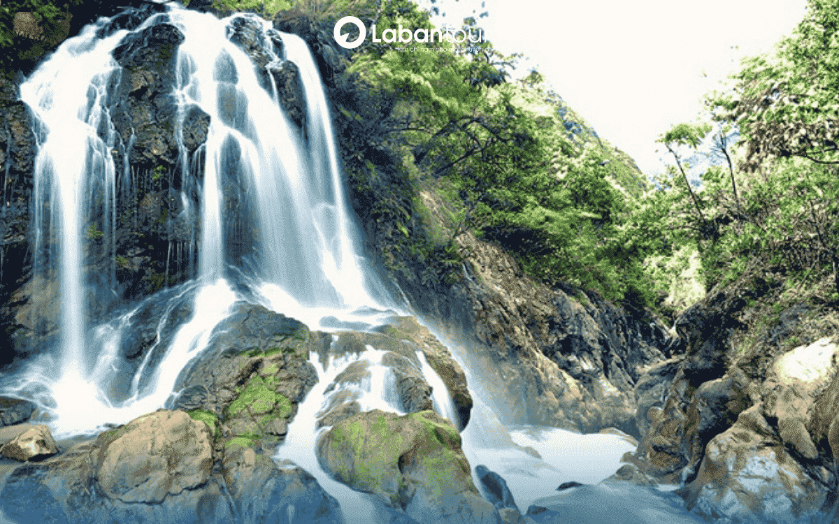 Bản Cát Cát Sapa