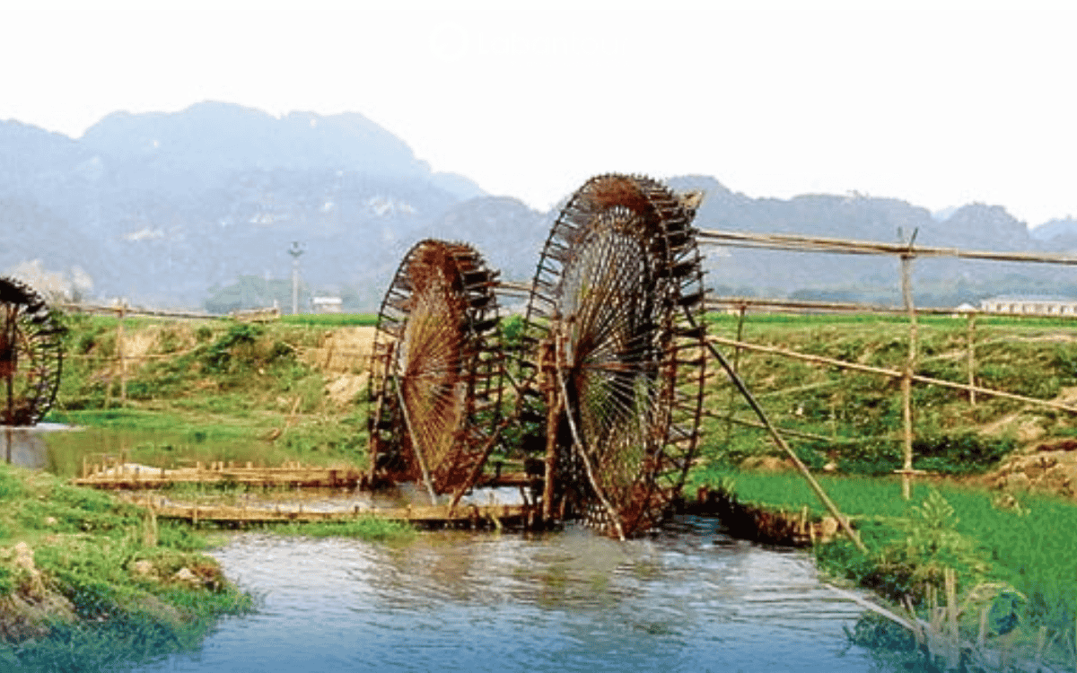 Bản Cát Cát Sapa