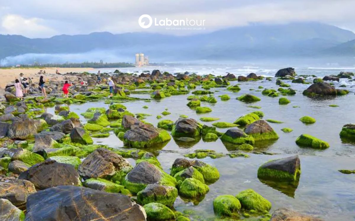 bản đồ du lịch đa nẵng