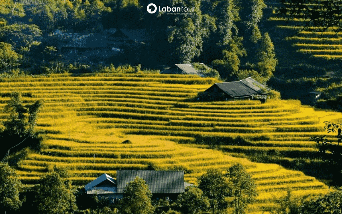 các bản du lịch ở sapa