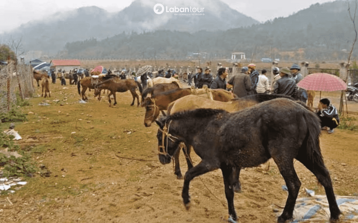 chợ phiên bắc hà