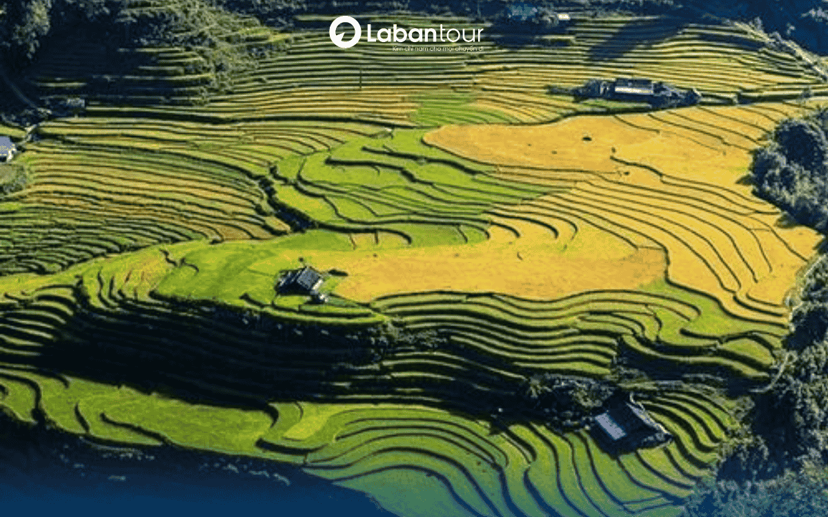 Sapa mùa nào đẹp nhất? Ruộng bậc thang