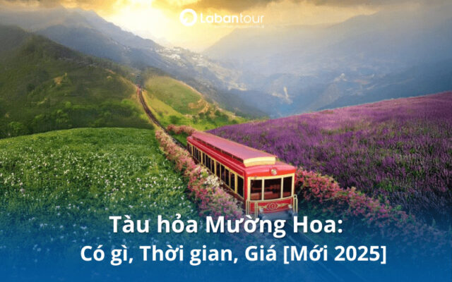 tàu hỏa leo núi mường hoa