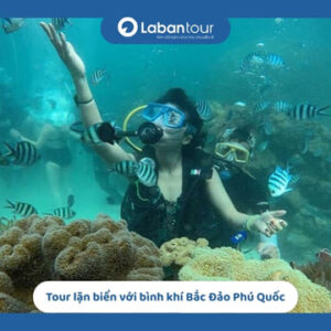 Tour lặn biển với bình khí Bắc Đảo Phú Quốc