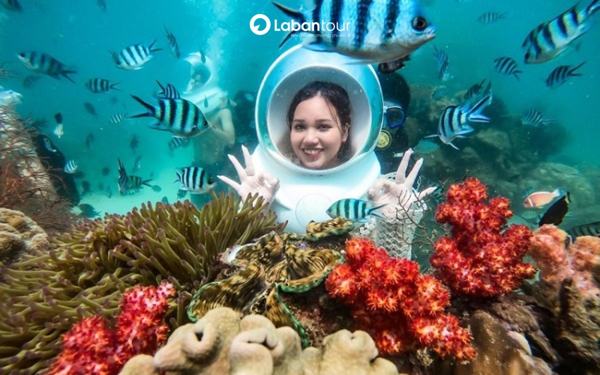 bãi tắm hòn thơm