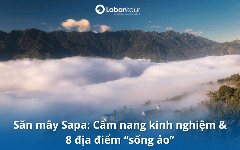 săn mây sapa