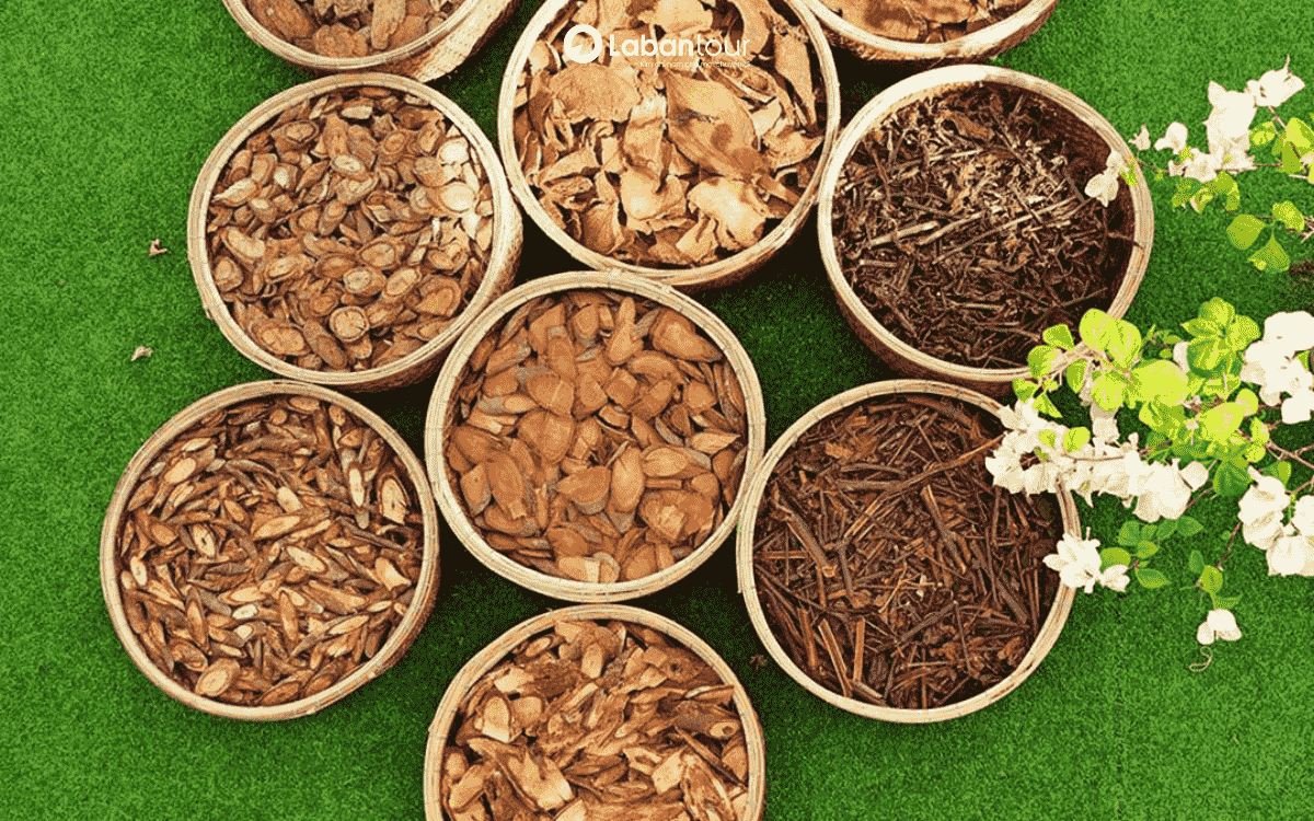 tắm lá dao đỏ sapa