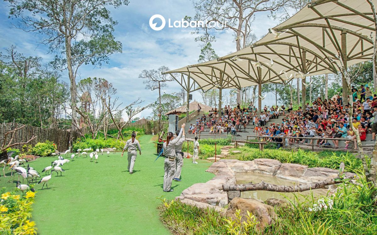 giá vé safari phú quốc