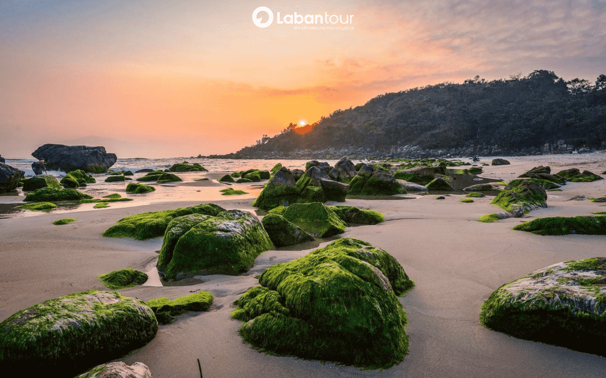 du lịch biển đà nẵng