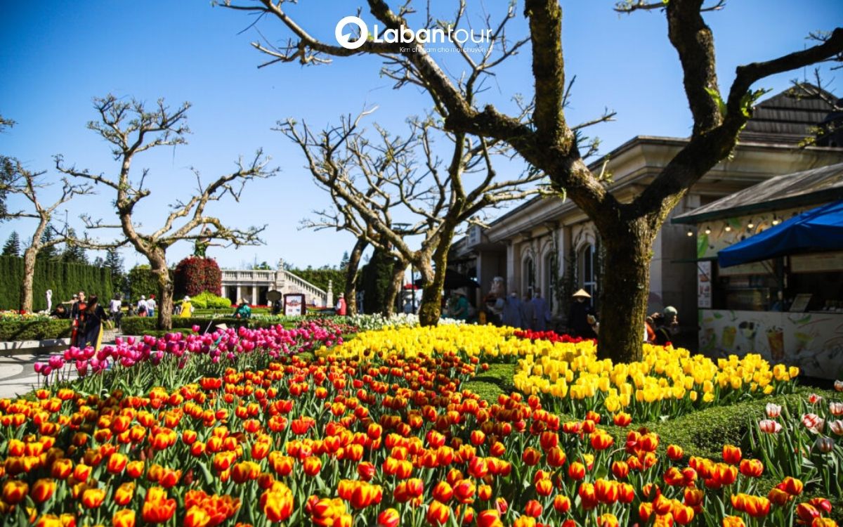 du lịch Đà Nẵng vào tháng 2