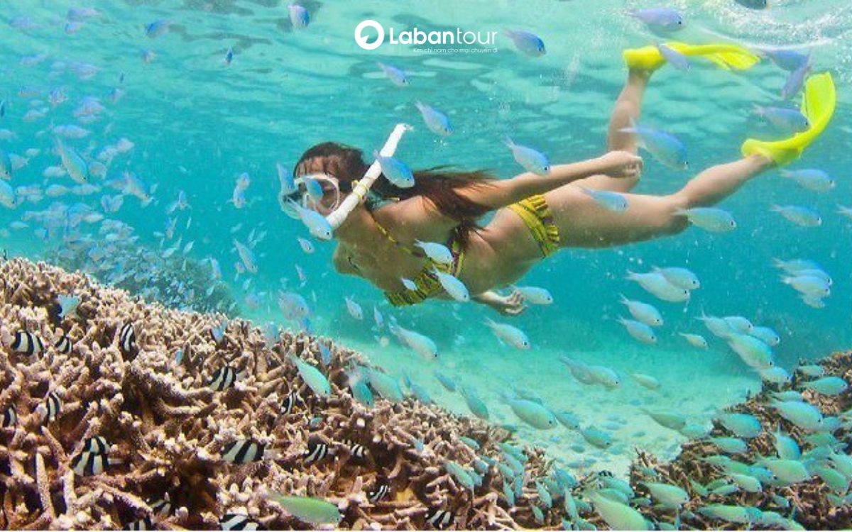 du lịch đà nẵng tháng 6