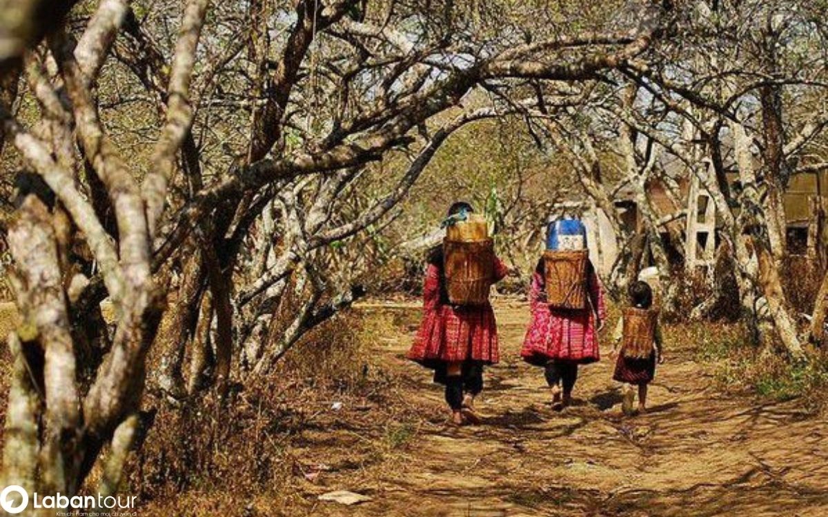 đi Sapa vào tháng 1