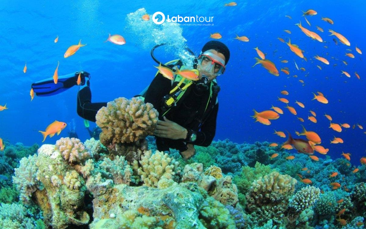 ghềnh bàng đà nẵng ở đâu