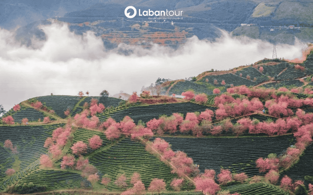 lưu ý khi đi sapa