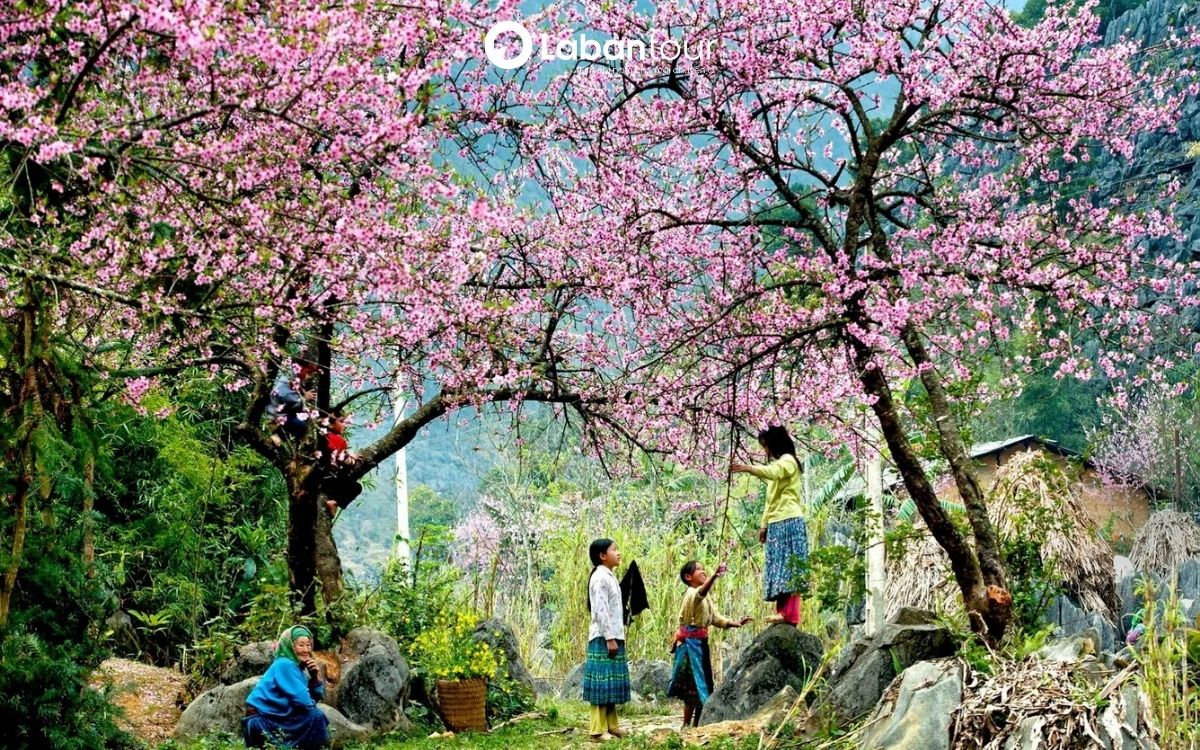 du lịch tháng 1 nên đi đâu