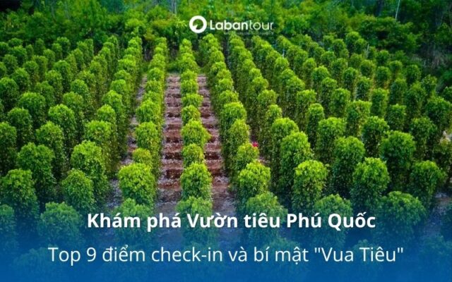 Vườn tiêu Phú Quốc