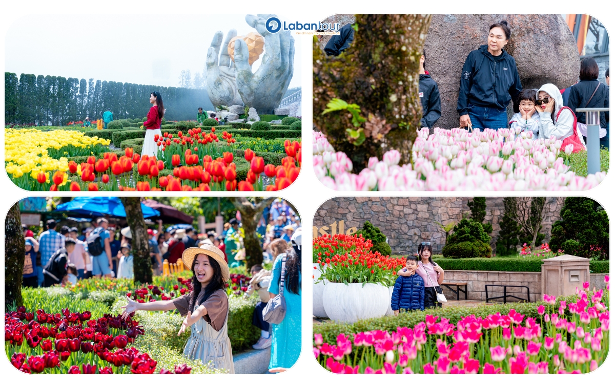 Bà Nà Hills ưu đãi đặc biệt đến 60% giá vé cho người dân 11 tỉnh thành miền Trung - Tây Nguyên