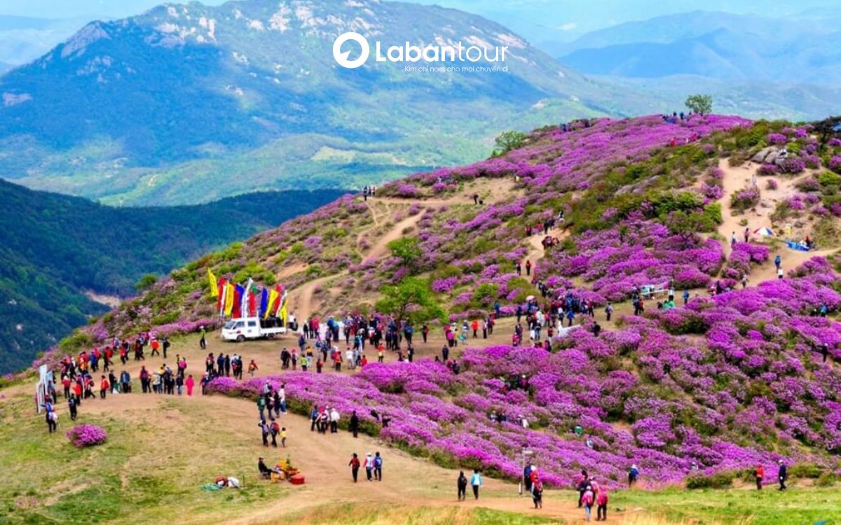 kinh nghiệm du lịch sapa tháng 3