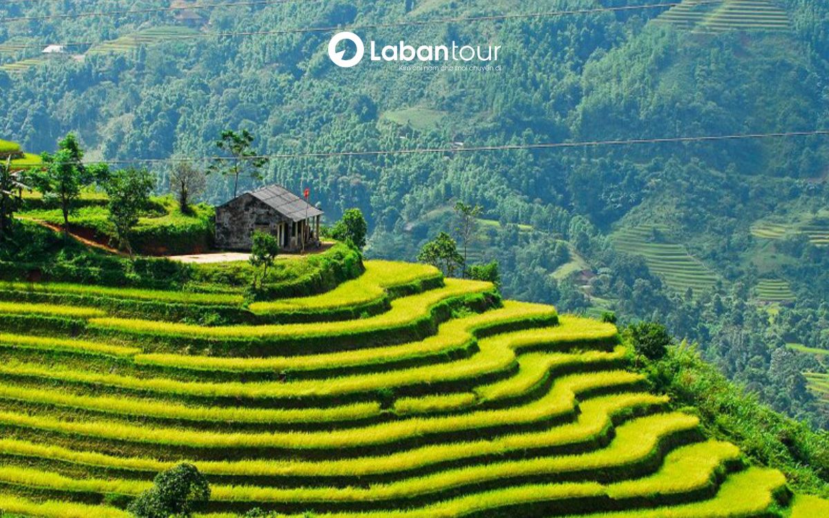 có nên đi sapa vào tháng 3