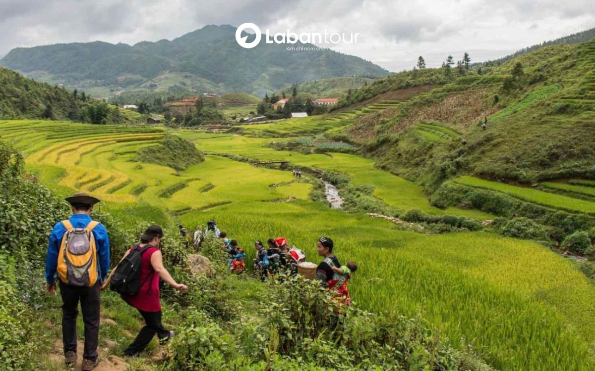 du lịch sapa tháng 3