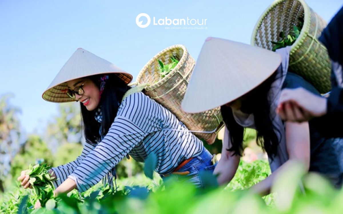 du lịch trải nghiệm ở việt nam